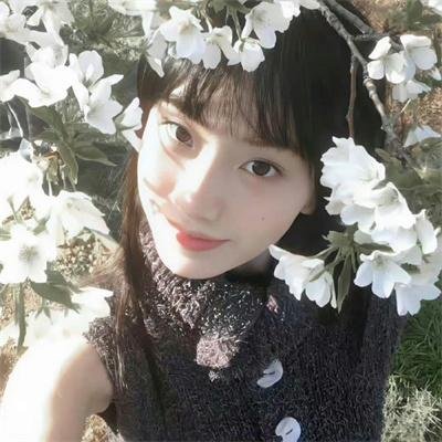 传世宝藏
